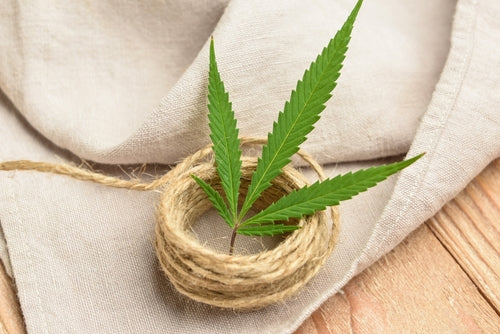 What Is Hemp Fabric: High-ly Overrated Or Super Sustainable?