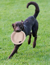 Load image into Gallery viewer, Hemp frisbee