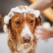 Load image into Gallery viewer, Natural shampoo bar