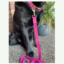 Load image into Gallery viewer, Hemp dog collar - Pink