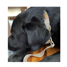 Load image into Gallery viewer, Hemp dog collar