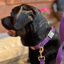 Load image into Gallery viewer, Hemp collar - Grape