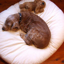 Load image into Gallery viewer, Cavoodle dogs lying on soft hemp dog bed