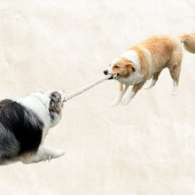 Load image into Gallery viewer, Two dogs playing with a strong tug rope