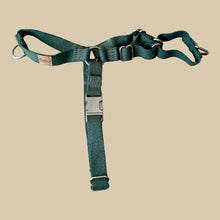 Load image into Gallery viewer, Hemp dog harness