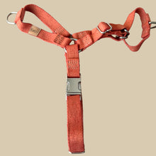Load image into Gallery viewer, Hemp dog harness
