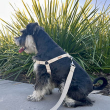 Load image into Gallery viewer, Hemp dog harness