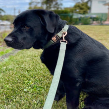 Load image into Gallery viewer, Hemp leash - Sage