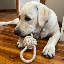 Load image into Gallery viewer, Natural hemp fibre dog rope with ball