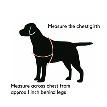 Load image into Gallery viewer, Hemp dog harness