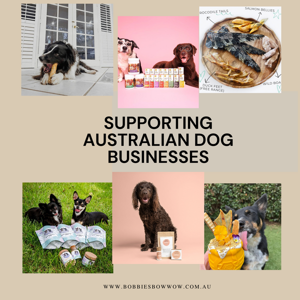 Pawsome Partners: Pet Businesses We Love Supporting