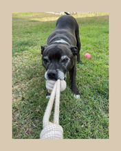 Load image into Gallery viewer, Hemp rope toy with chew ball and handle
