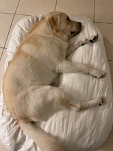 Load image into Gallery viewer, Hemp pet bed
