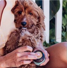 Load image into Gallery viewer, Hemp Pet Balm

